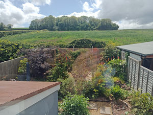 Garden- click for photo gallery